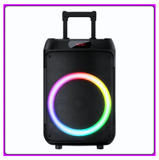 Колонка Bluetooth Wireless Speaker TTD-1209 з мікрофонами і пультом ДУ ∙ Портативна TTD-1209 Bluetooth колонка 12" 57041 фото